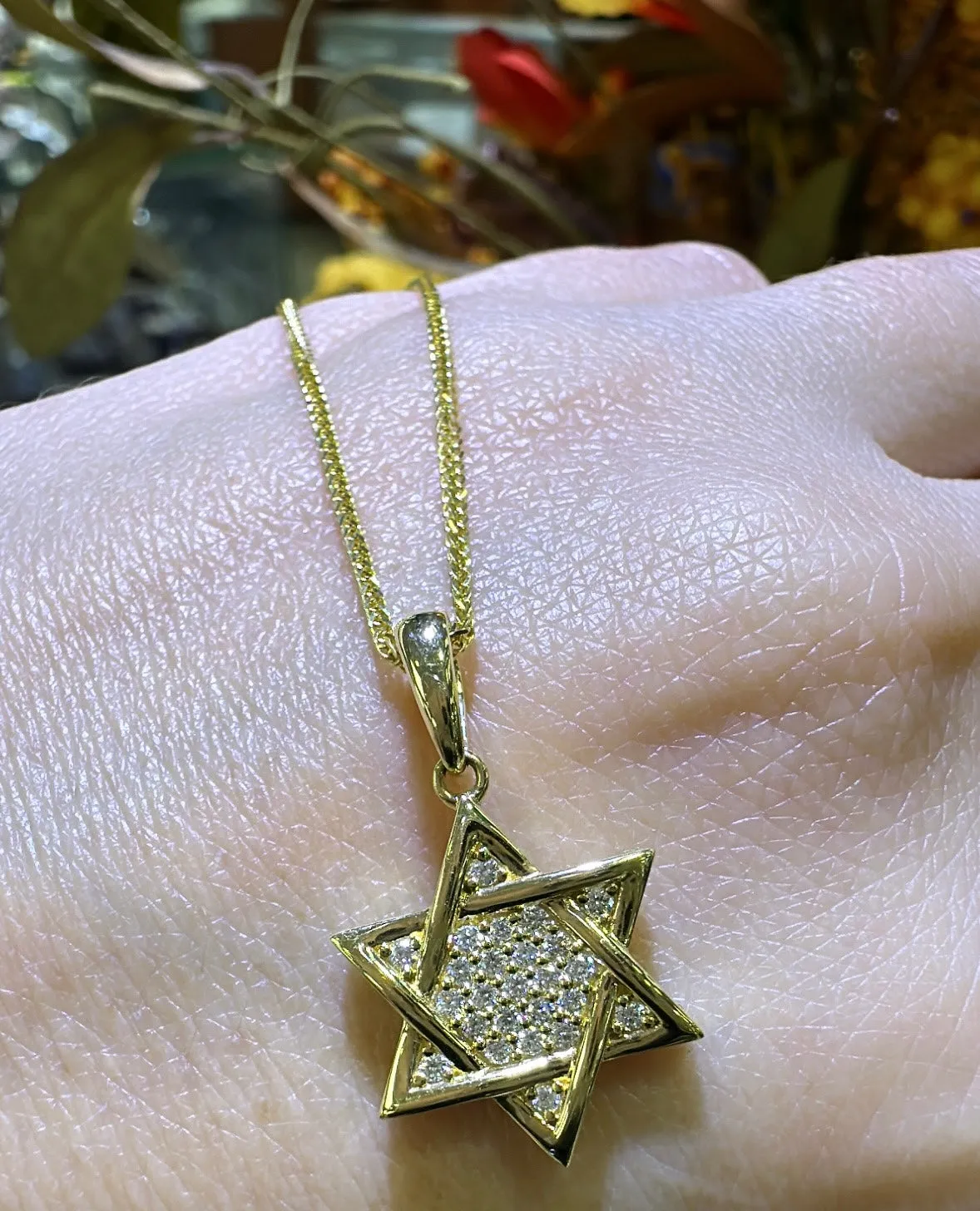 0.23ct tw Diamond and Gold Star Of David Pendant Necklace