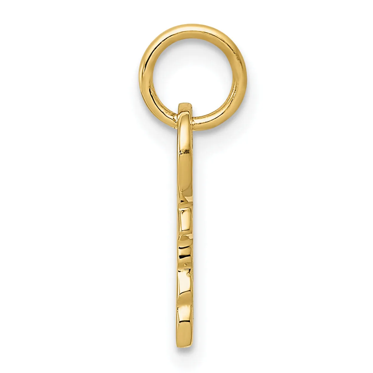 14k Yellow Gold Polished 3-D Rounded Top Key Charm
