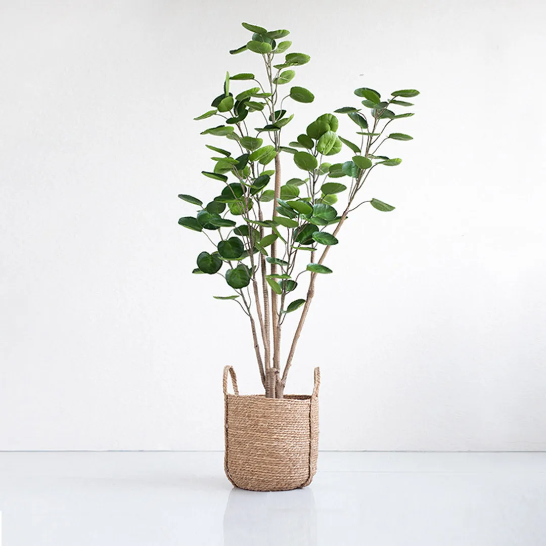 180cm Artificial Indoor Pocket Money Tree