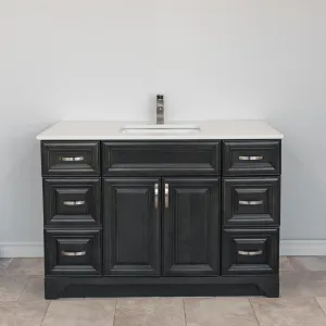 48" Raised Panel Vanity in Grey