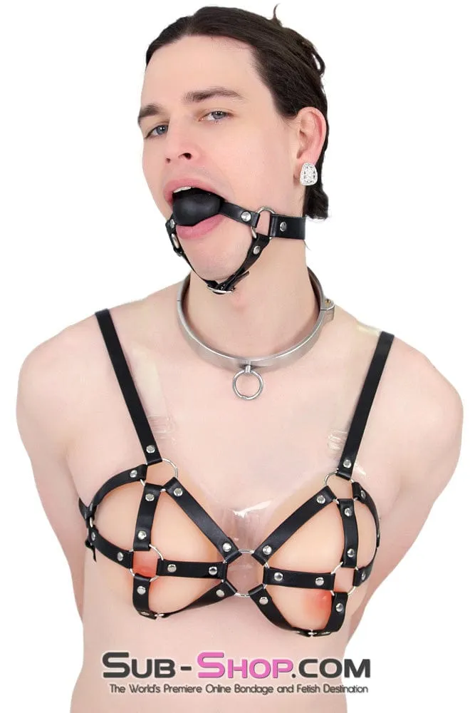 9877RS      Gia Real Feel Silicone Breast Forms with Nipples and Clear Straps, DD Cup