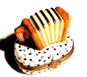 Accordian on White Instrument