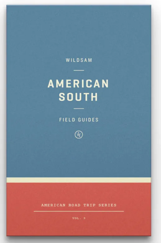American South-Roadtrip Series Vol. 3