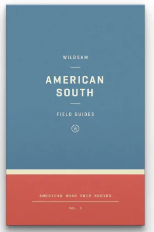 American South-Roadtrip Series Vol. 3