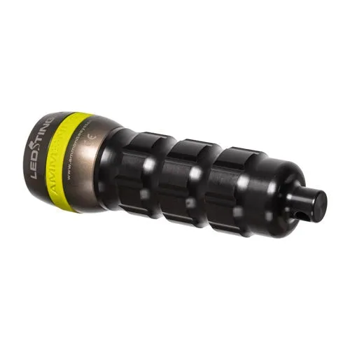 Ammonite LED Stingray MKII Deluxe Set