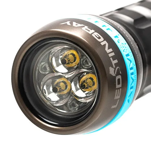 Ammonite LED Stingray MKII