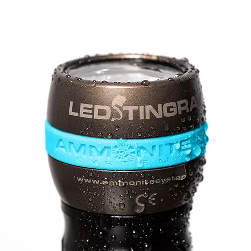 Ammonite LED Stingray MKII