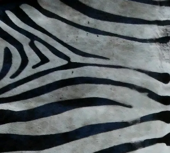 Antique Zebra Acid Washed Premium Brazilian Cowhide, XL CH25DVD I