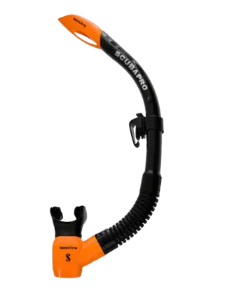 Avalon Oceanpro Mask & Spectra Snorkel