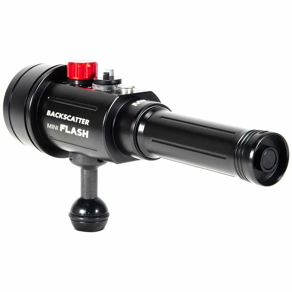 Backscatter Mini Flash 2