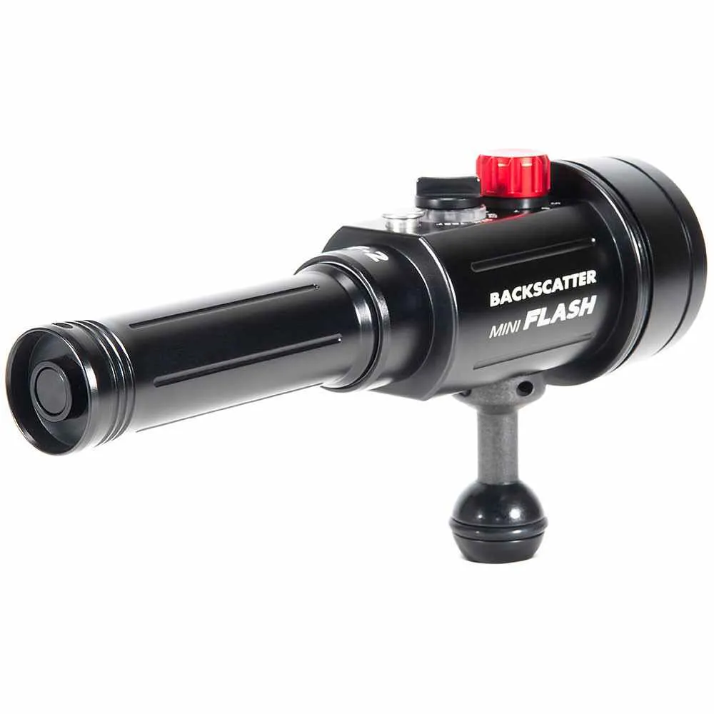 Backscatter Mini Flash 2