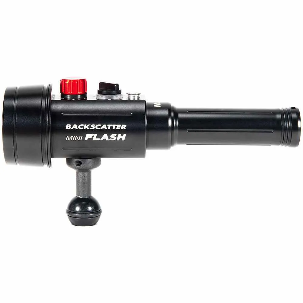 Backscatter Mini Flash 2