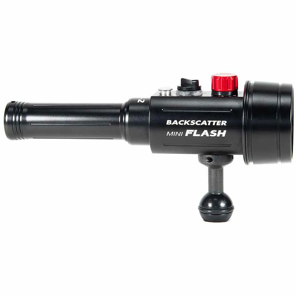 Backscatter Mini Flash 2