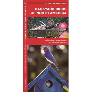 Backyard Birds of North America