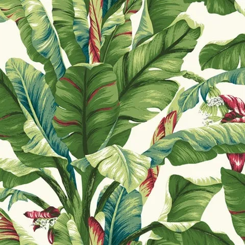 Banana Leaf Wallpaper (60 SqFt)
