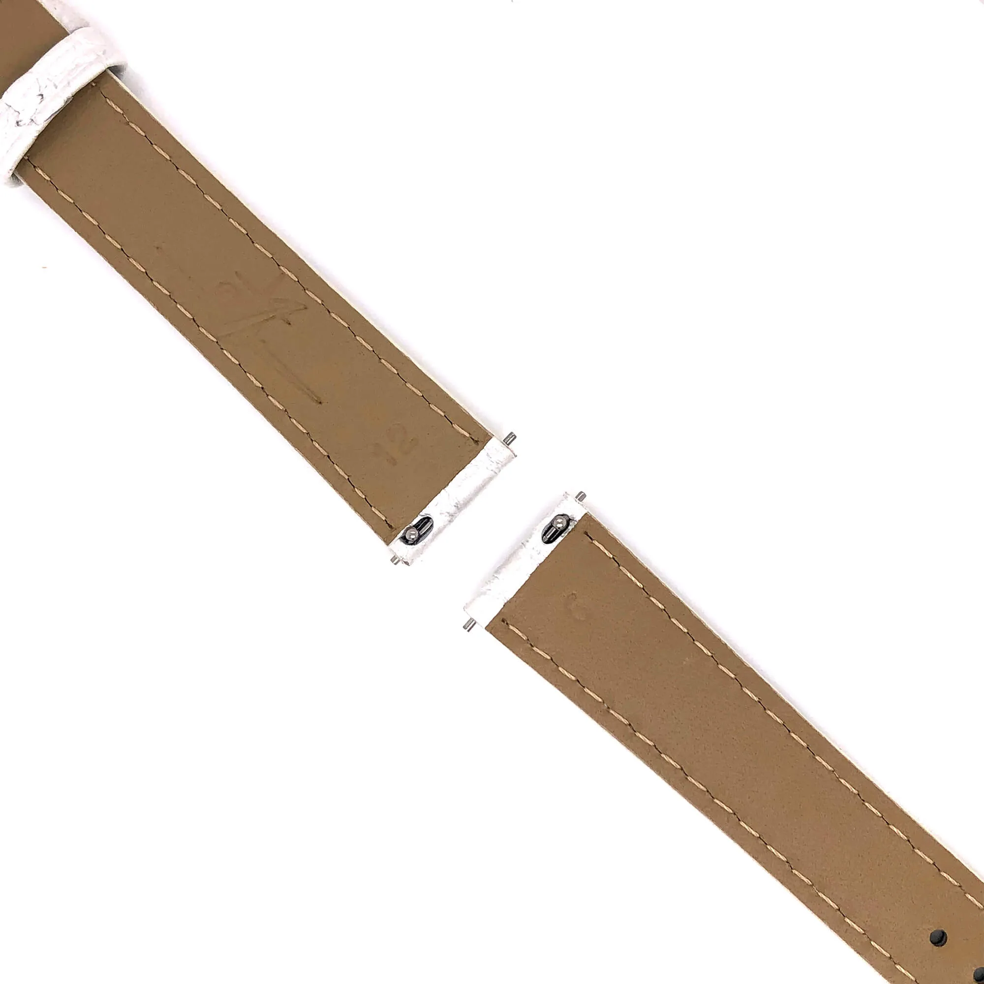 BAND - 16mm Alligator