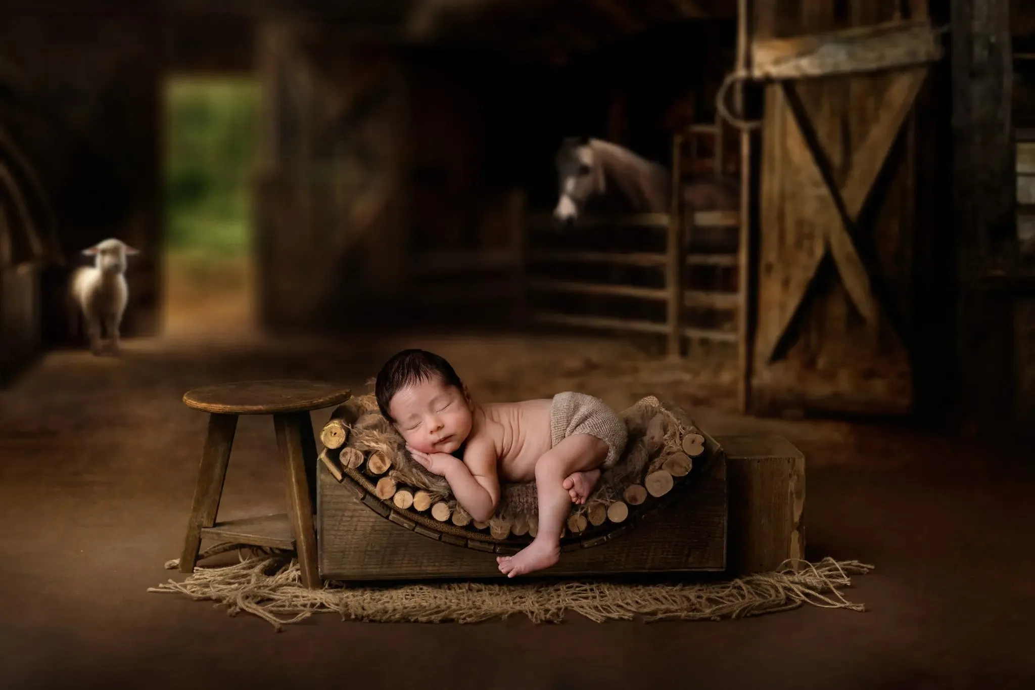 Barnyard Chicks Digital Background