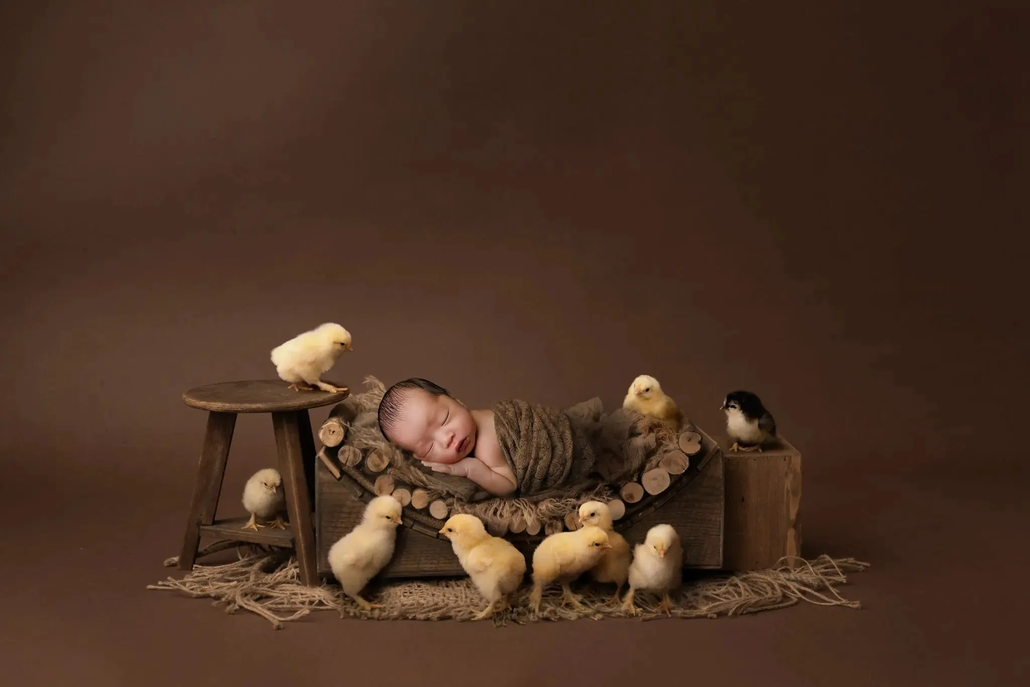 Barnyard Chicks Digital Background