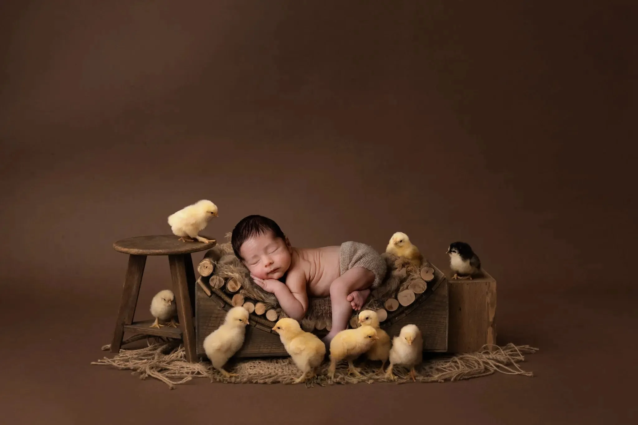 Barnyard Chicks Digital Background