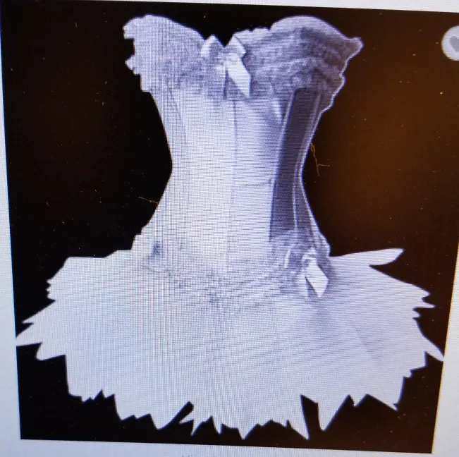 Beautiful White Bowtie Corset Top With Matching Ruffle Skirt