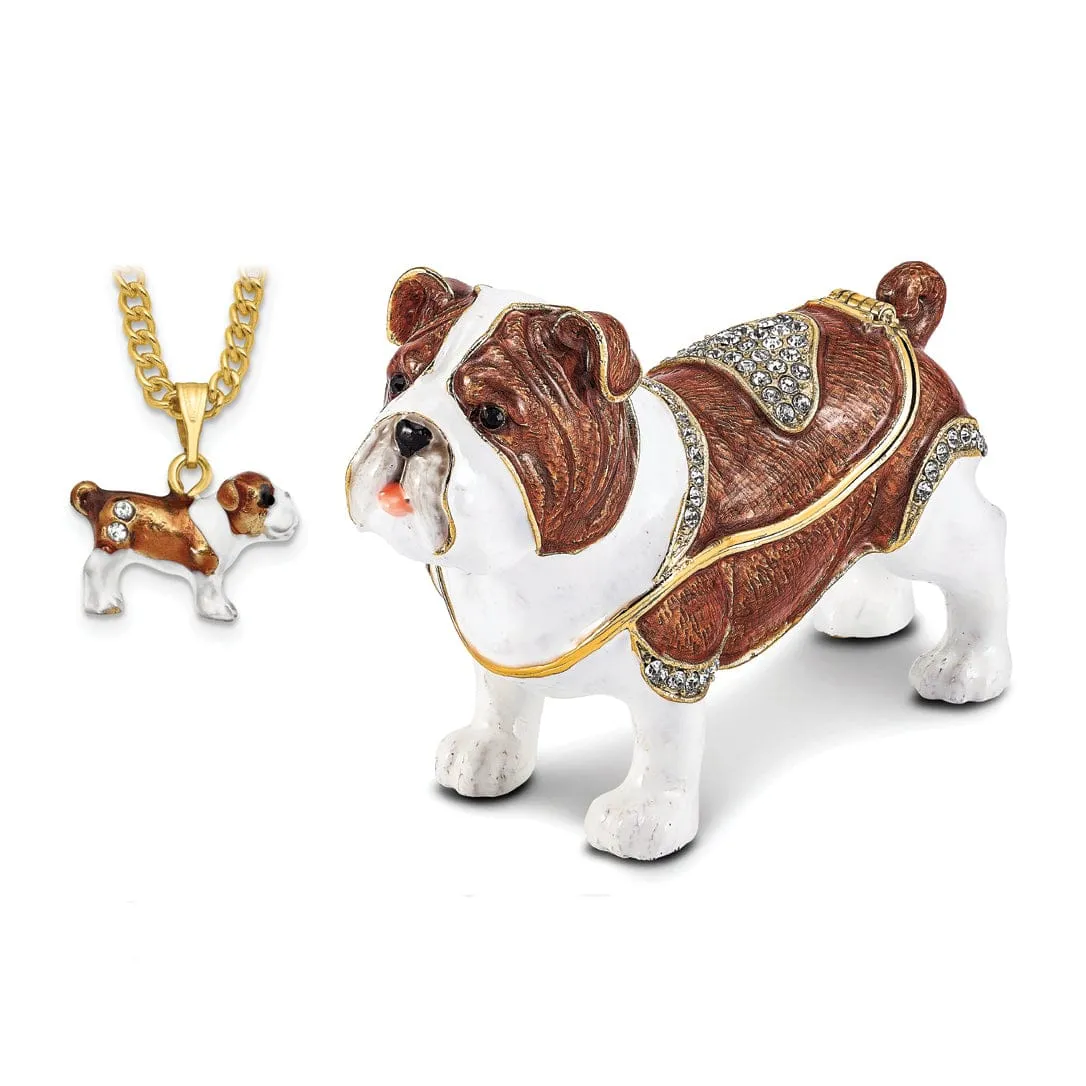 Bejewel Gold Brown White Color Finish MAC English Bulldog Trinket Box