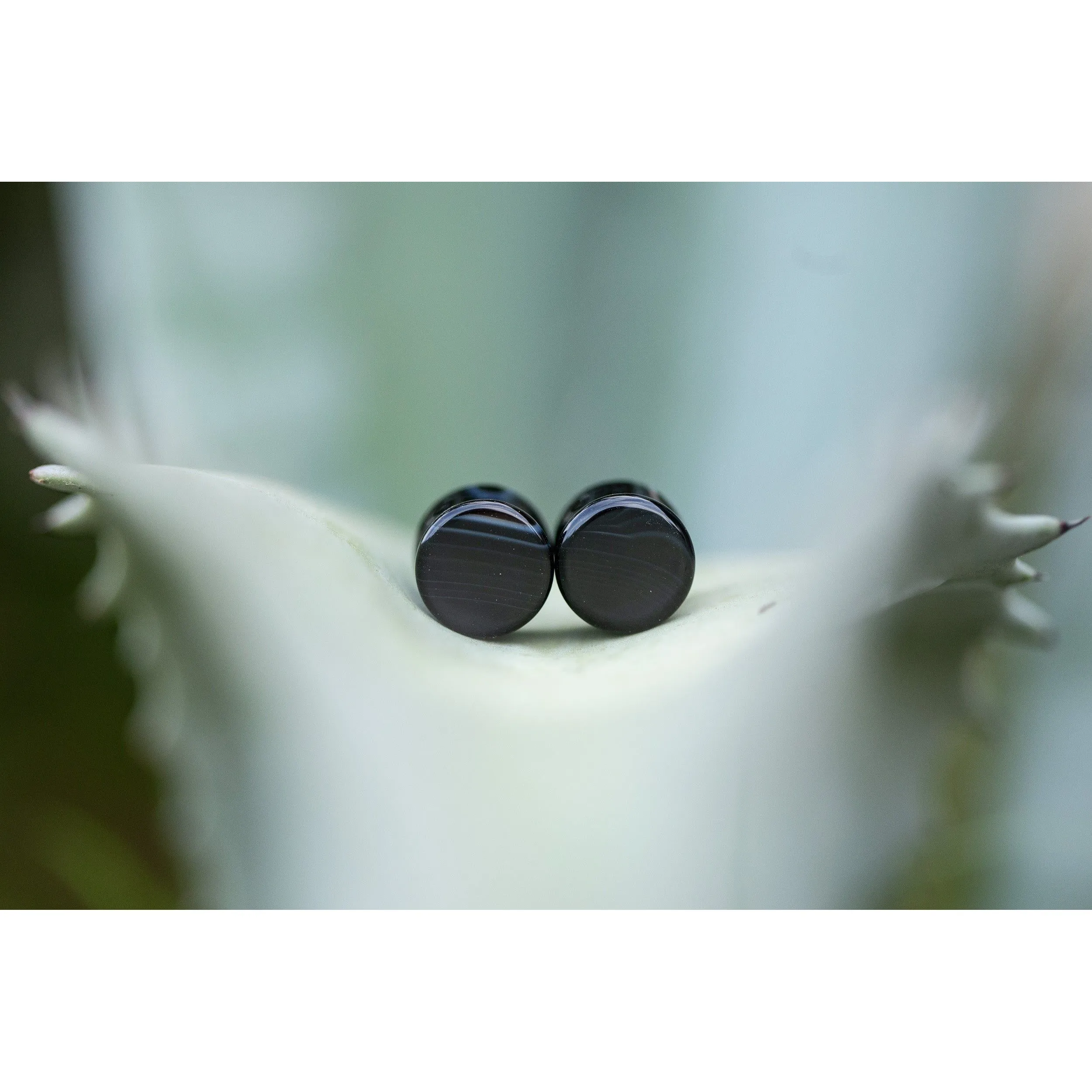 Black Agate Plugs, Double Flared Pair, Organic Plugs