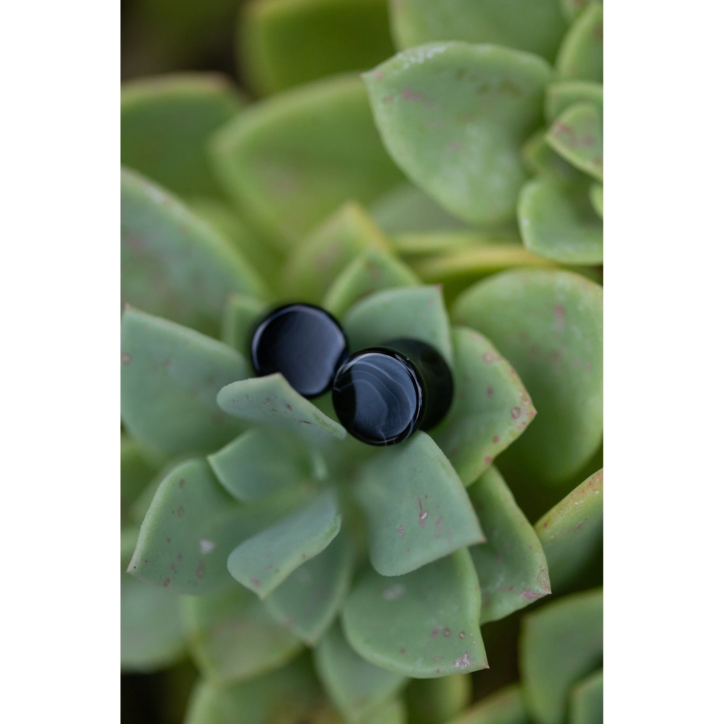 Black Agate Plugs, Double Flared Pair, Organic Plugs