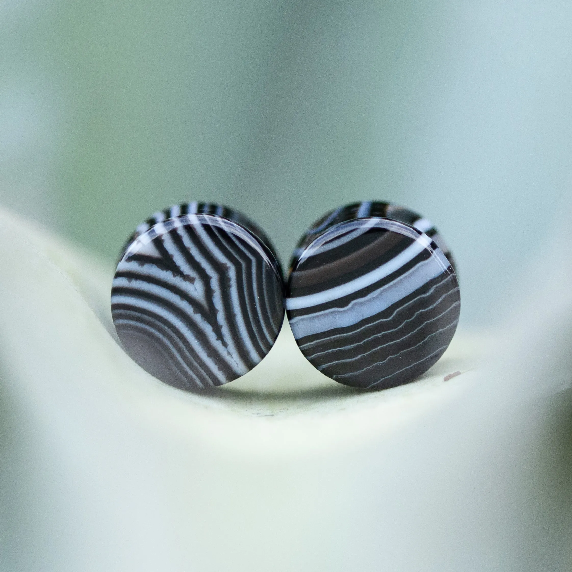 Black Agate Plugs, Double Flared Pair, Organic Plugs
