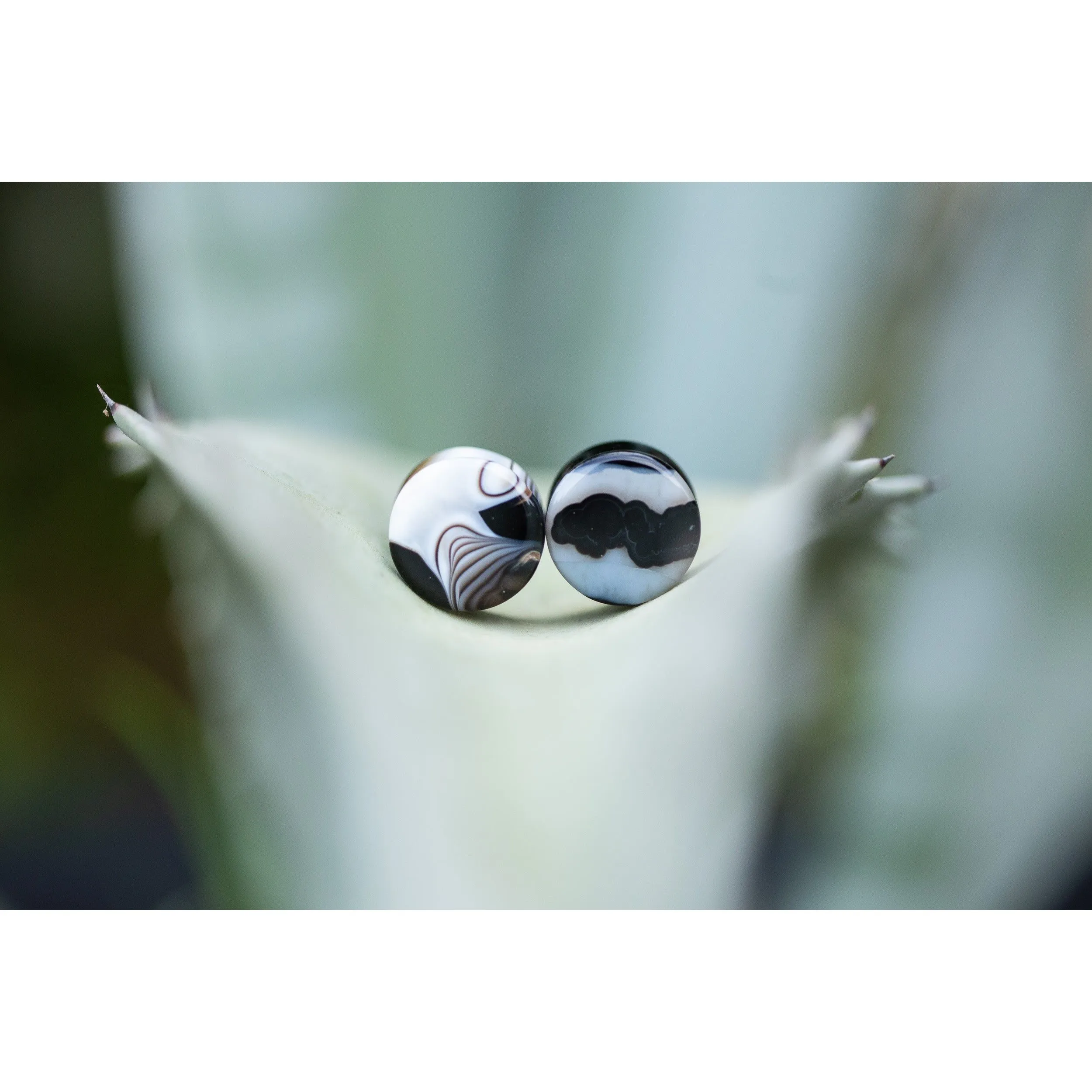 Black Agate Plugs, Double Flared Pair, Organic Plugs