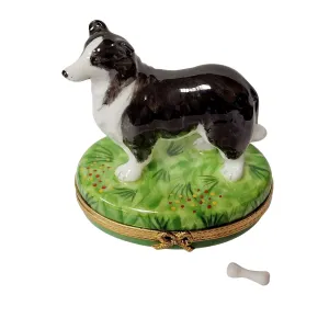 Black & White Collie Dog Toy with Bone