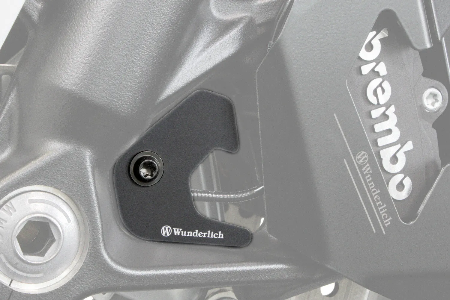 BMW F 900 Protection - ABS Sensor Guard