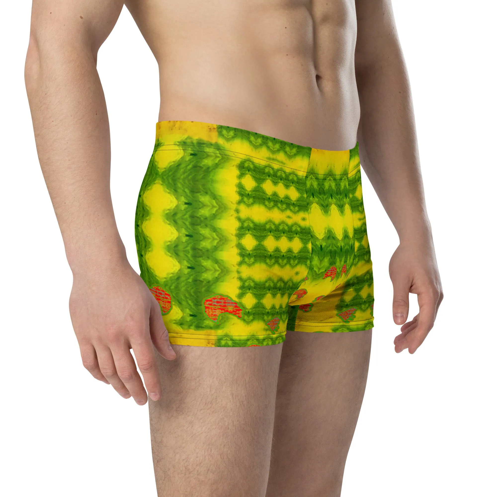 Boxer Briefs (His/Virilis) RJSTH@Fabric#1 RJSTHs2020 RJS