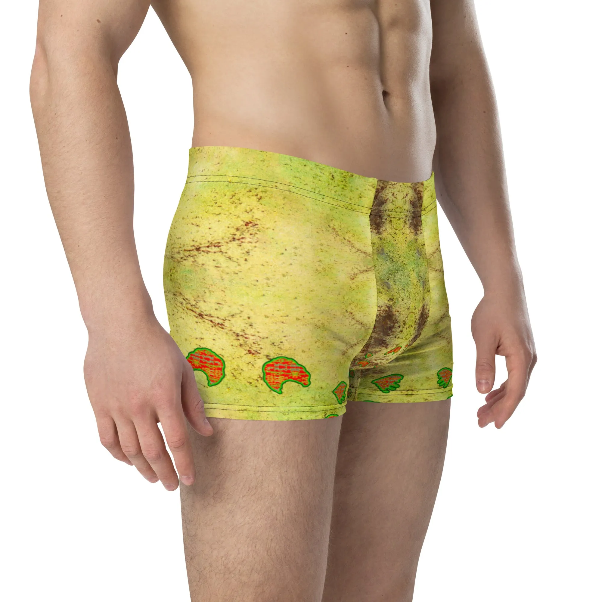 Boxer Briefs (His/Virilis) RJSTH@Fabric#2 RJSTHs2020 RJS