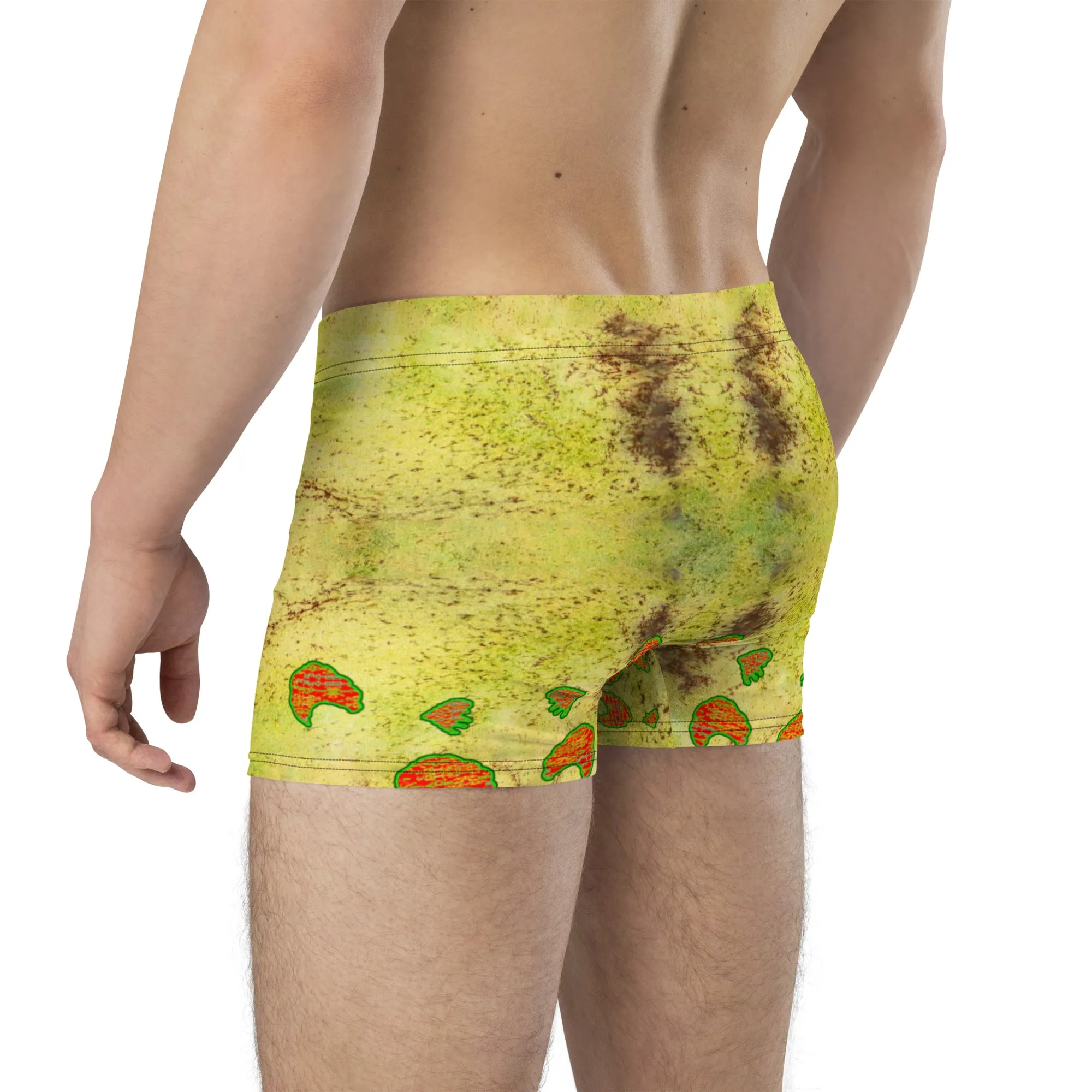 Boxer Briefs (His/Virilis) RJSTH@Fabric#2 RJSTHs2020 RJS