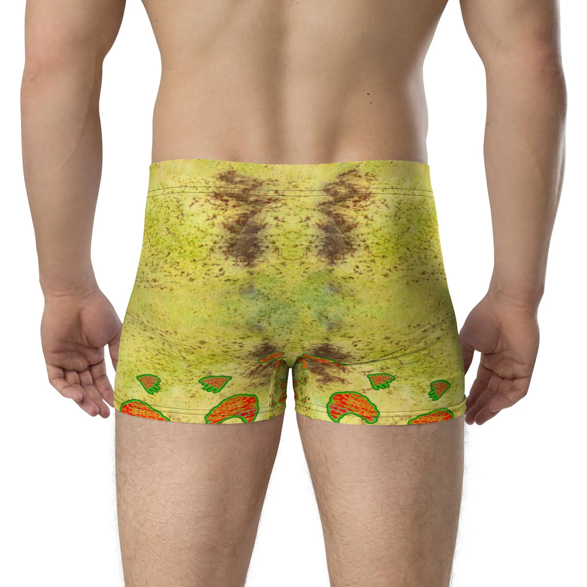 Boxer Briefs (His/Virilis) RJSTH@Fabric#2 RJSTHs2020 RJS
