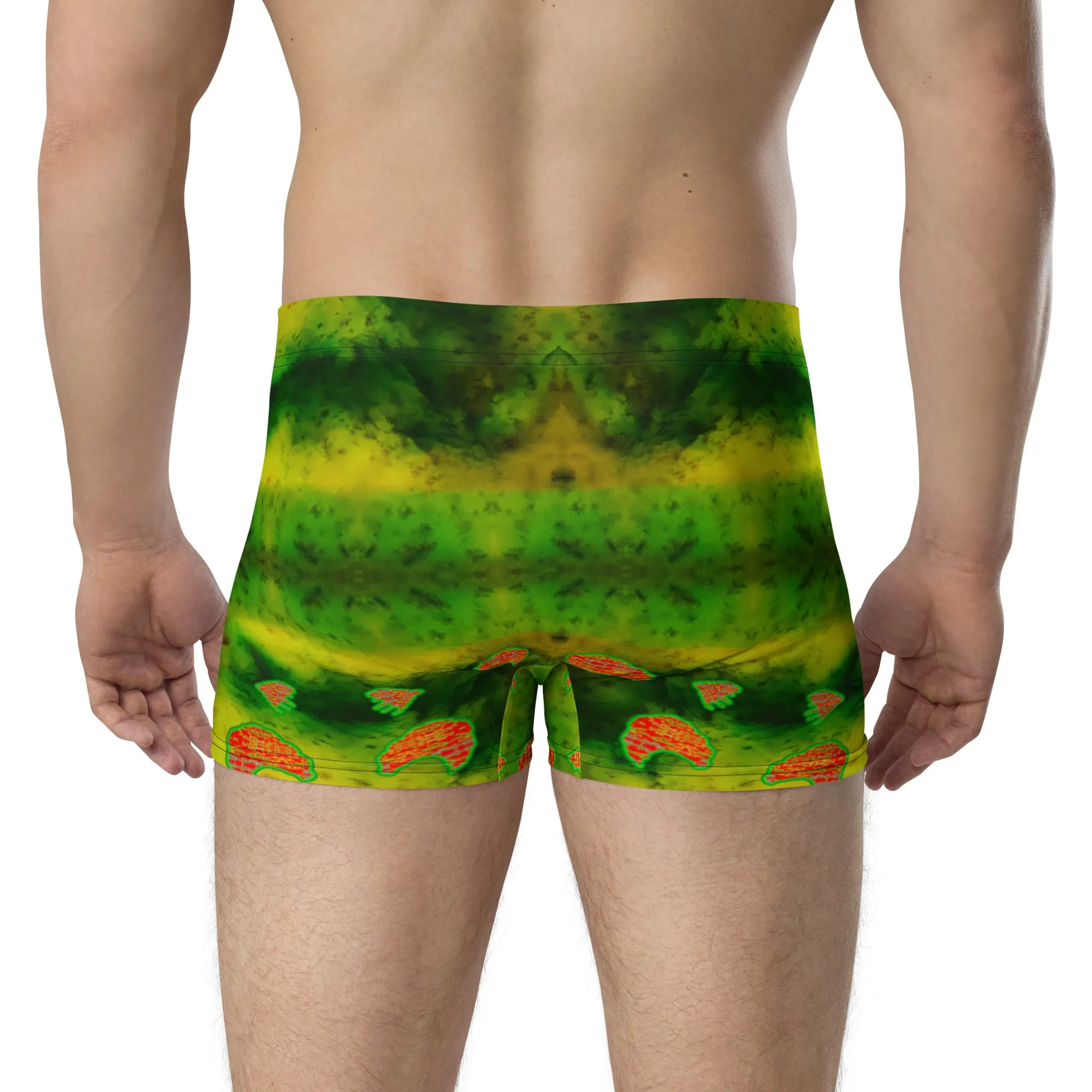 Boxer Briefs (His/Virilis) RJSTH@Fabric#3 RJSTHs2020 RJS