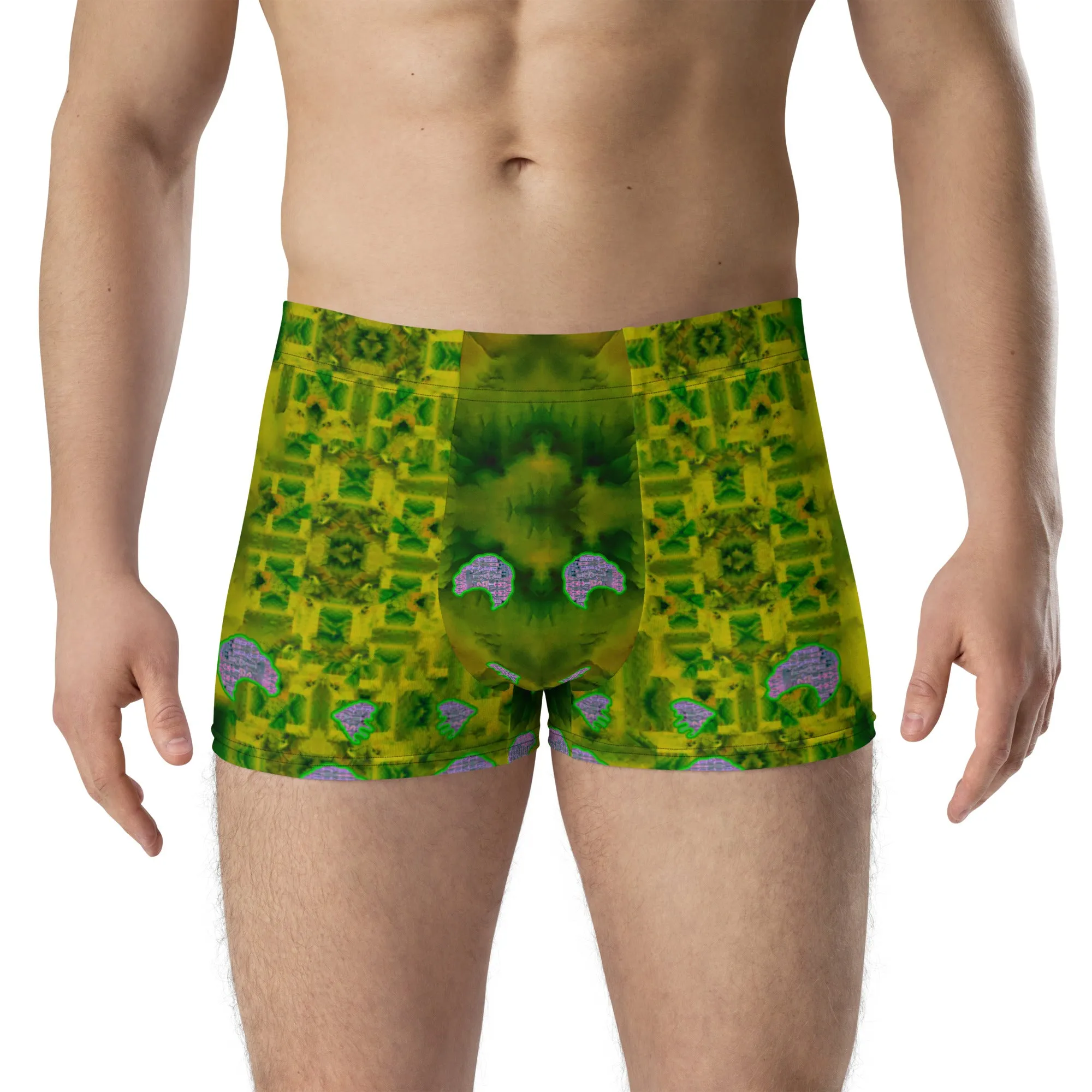Boxer Briefs (His/Virilis) RJSTH@Fabric#5 RJSTHs2020 RJS