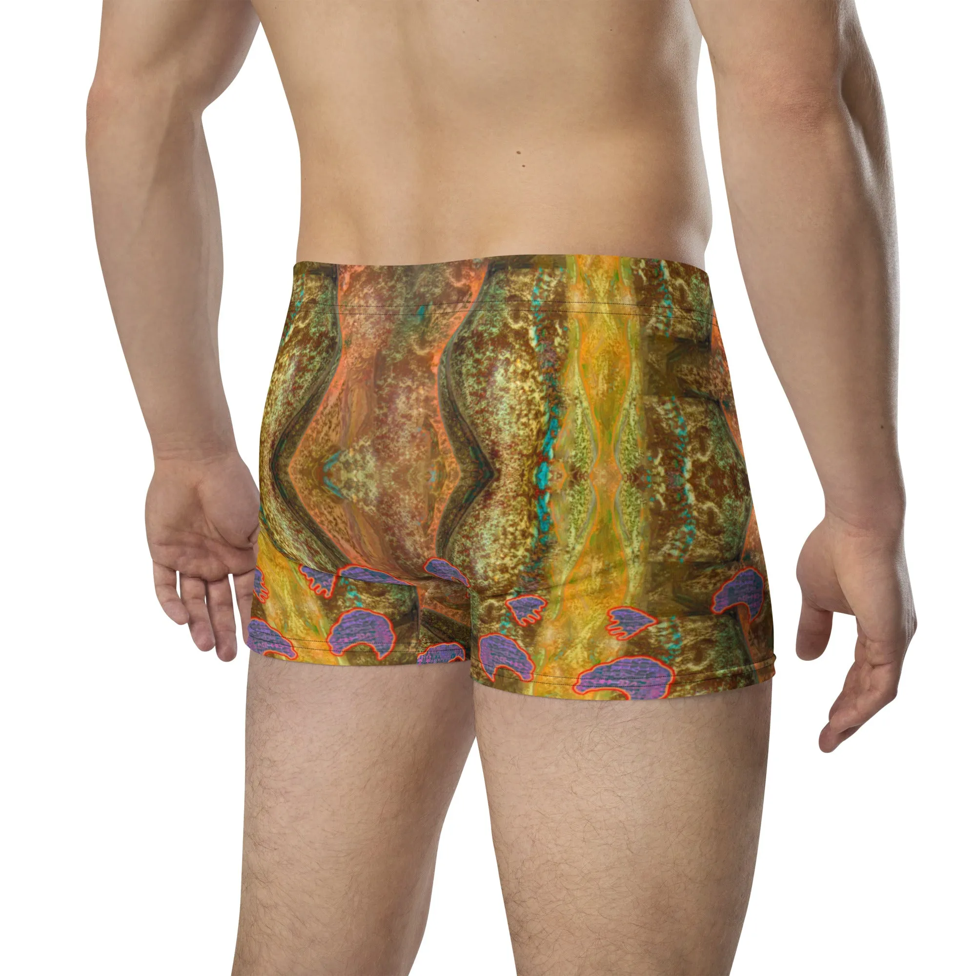 Boxer Briefs (His/Virilis) RJSTH@Fabric#6 RJSTHs2020 RJS