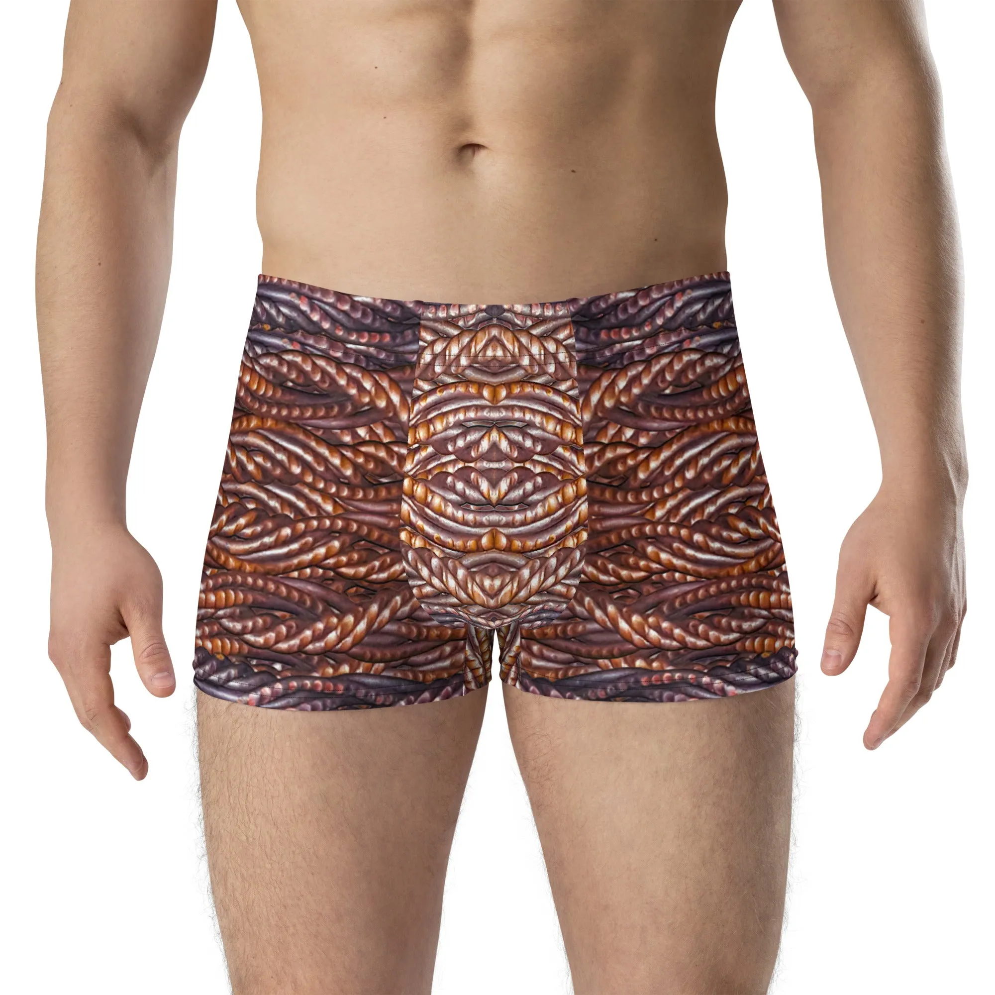 Boxer Briefs (His/Virilis)(Grail Hearth Core Copper Fabric) RJSTHw2023 RJS