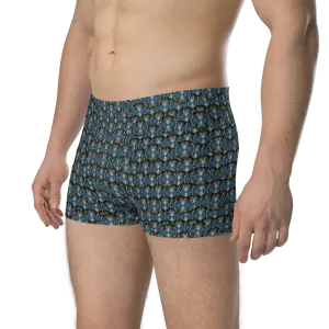 Boxer Briefs (His/Virilis)(Opal Skies Cantus Primus "Lūminōsitās") RJSTHW2024 RJS
