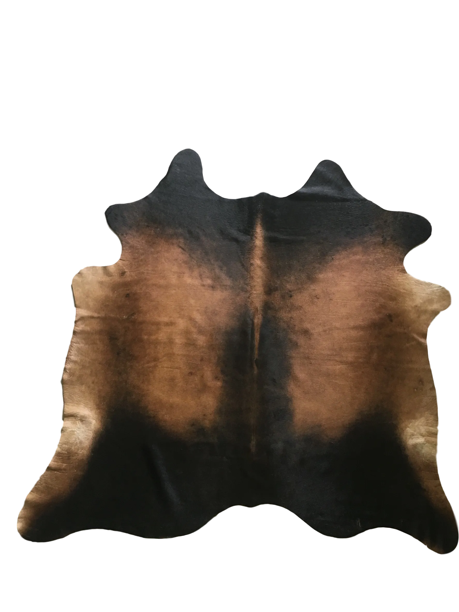 Burnished Mahogany Premium Brazilian Hide, XL CH33N R