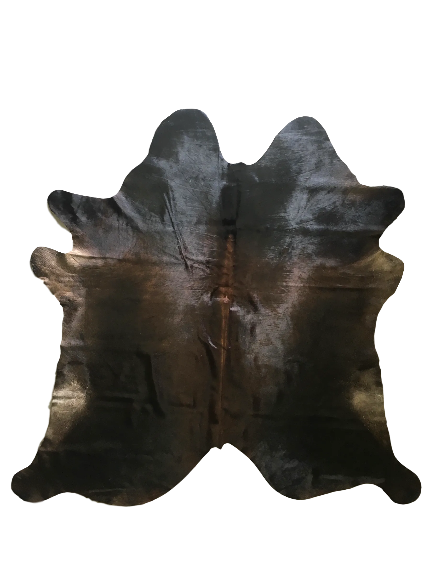 Burnished Mahogany Premium Brazilian Hide, XL CH33N R