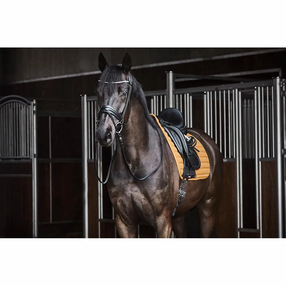 Catago Hybrid yellow dressage pad