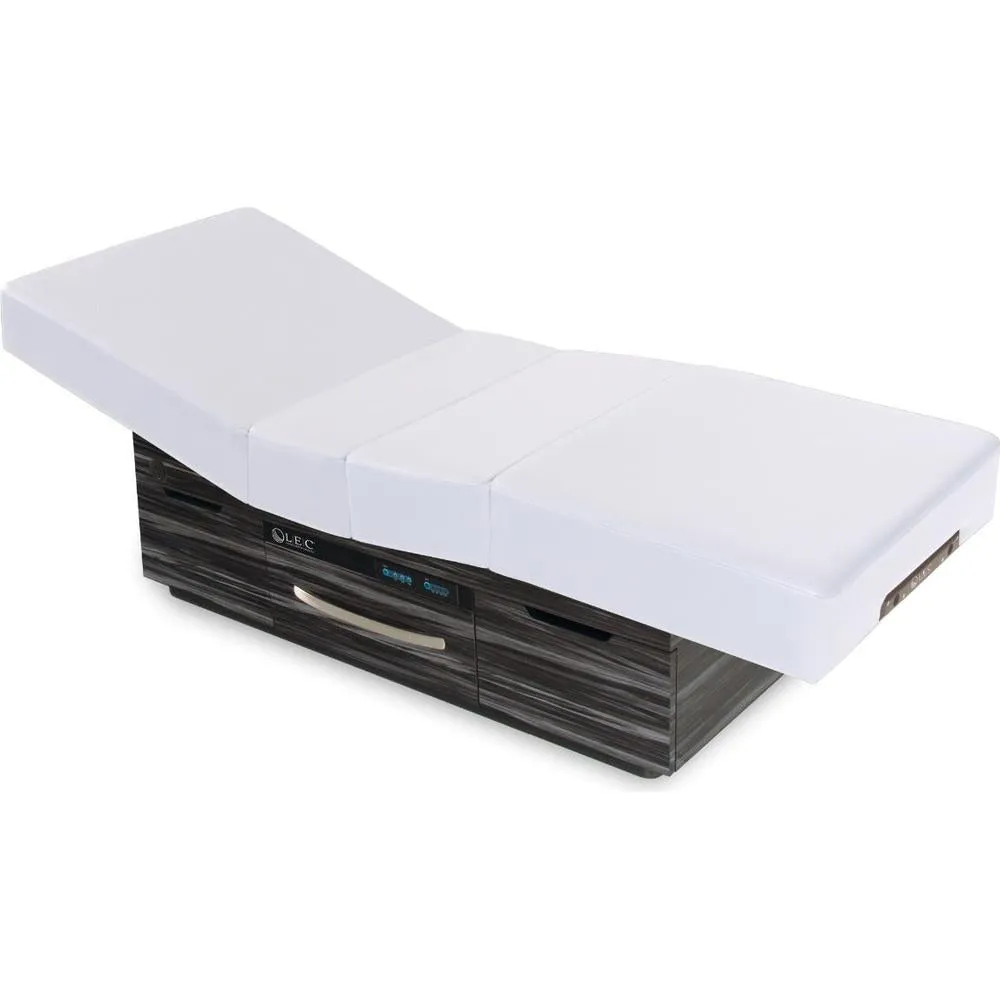 Century City Dual-Pedestal Spa Treatment Table with Digital Warming Drawer by Living Earth Crafts