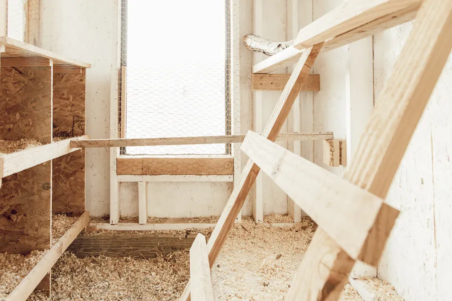 Chicken Coop Plans and Instructions