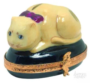 Chinese Cat
