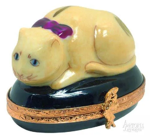 Chinese Cat