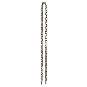 Classic Damier Sunglasses Chain