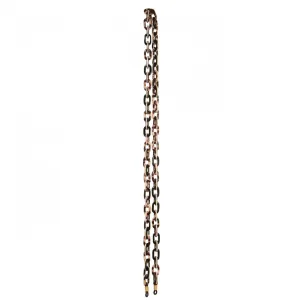 Classic Leopard Sunglasses Chain