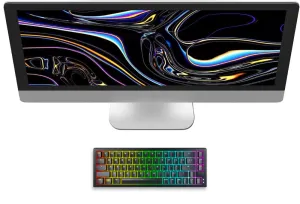 Compact Mechanical Gaming Keyboard 65% Hot-Swappable